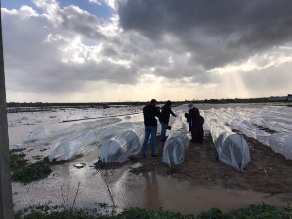 الإغاثة الزراعية ترصد الأضرار التي لحقت بالمزارعين جراء فتح السدود الاسرائيلية على أراضيهم
