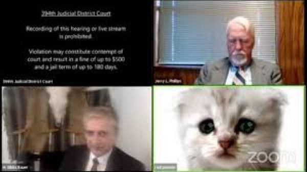 شاهد: "أنا لست قطة".. محام يتعرض لموقف محرج لهذا السبب