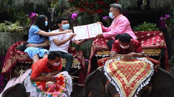 شاهد: بمناسبة عيد الحب.. زفاف جماعي على ظهور الفيلة في تايلاند