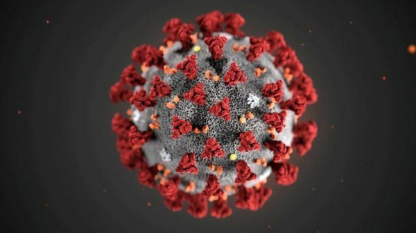 ‫تطوير أول اختبار لـ (كورونا) بالعالم قادر على كشف عن أصول السلالات المختلفة للفيروس
