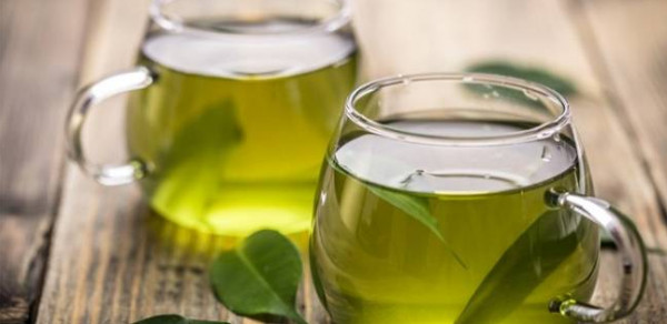 ماذا يحدث للجسم عند شرب الشاي الأخضر ؟