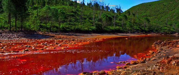 النهر الأحمر عالي الحموضية.. هل يحوى كائنات حية؟