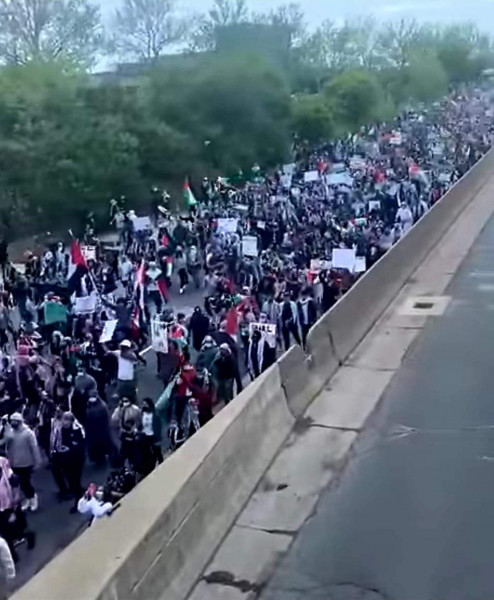 مظاهرة جماهيرية حاشدة دعما للشعب الفلسطيني في ميشيغان بالولايات المتحدة الأمريكية