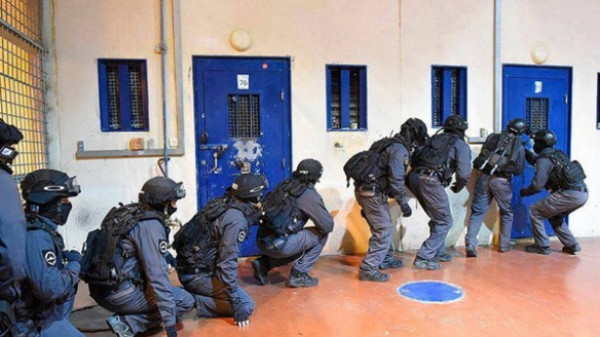 هيئة الأسرى : وحدة "المتسادا واليماز" تقتحم قسم (4) في سجن جلبوع