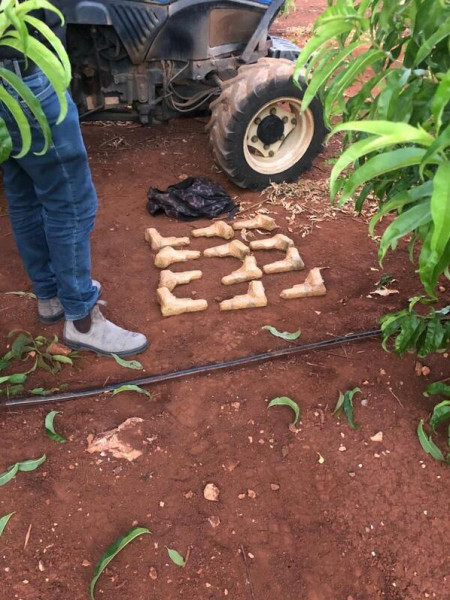 جيش الاحتلال يحبط عملية تهريب أسلحة من لبنان
