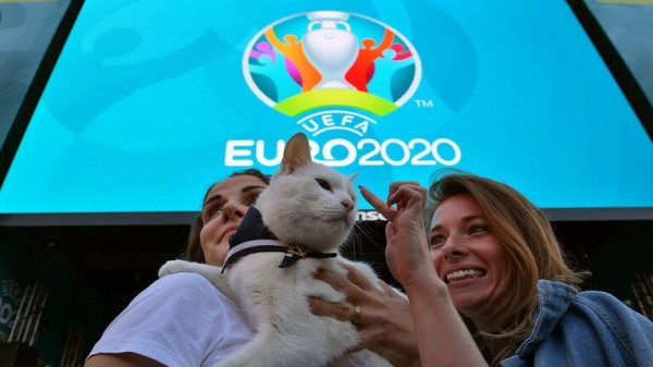 القط الأصم "أخيل" ينجح في التنبؤ بالفائز في مواجهة السويد وسلوفاكيا