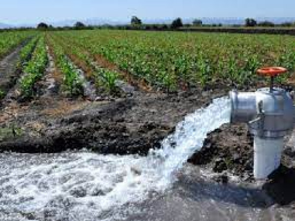 أريحا: إطلاق المرحلة الأولى من مشروع إنشاء محطة مياه للاستخدام الزراعي