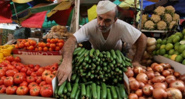 "انخفاض سعر الدجاج".. تعرف على أسعار الخضار واللحوم في أسواق غزة