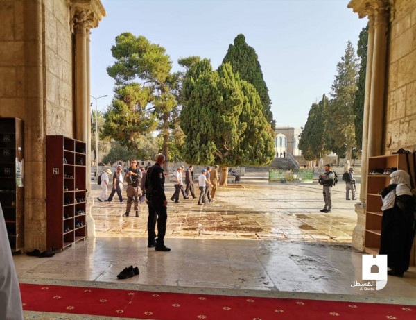 شاهد: مستوطنون يقتحمون المسجد الأقصى في يوم عرفة