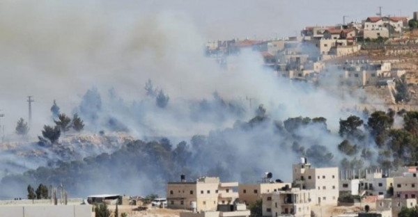 حريق ضخم في أحراش "الزير" قرب مستوطنة "تكواع" شرق بيت لحم