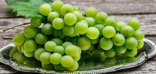 تعرف على الفوائد السحرية للعنب في فصل الصيف