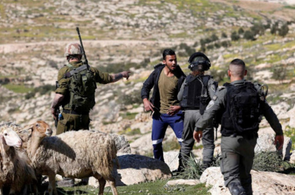 مستوطنون يواصلون نصب خيام لسرقة أراض في "الطيبة" ببلدة ترقوميا