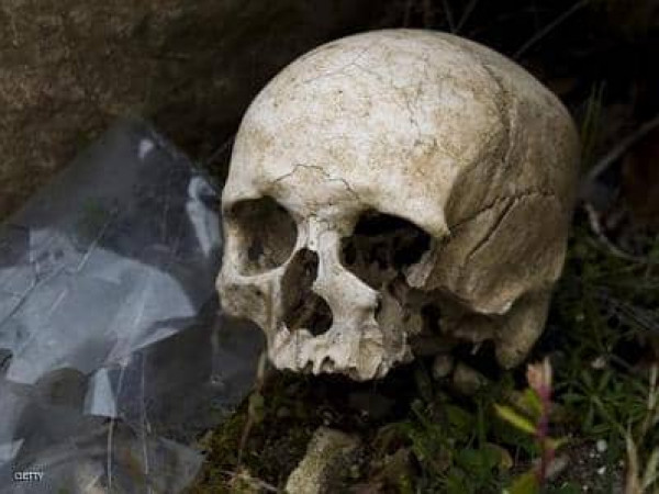 العثور على عظام جمجمة متحجرة لإنسان قديم