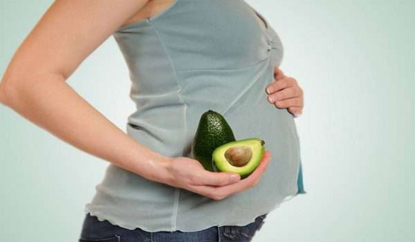 11 فائدة لتناول الأفوكادو إثناء فترة الحمل