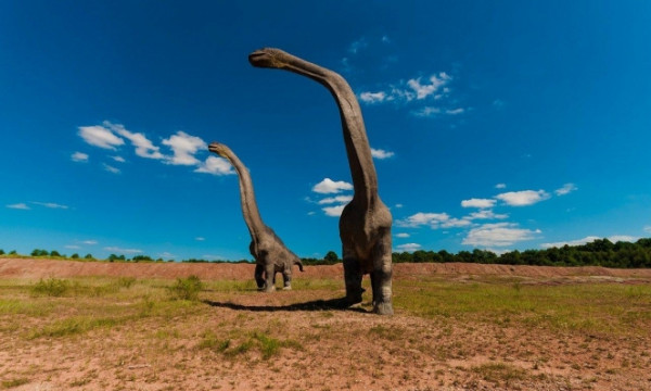 شاهد: باعثون يرصدون أقدم قطيع من الديناصورات