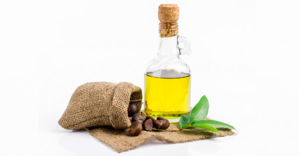 فوائد زيت الكاميليا للشعر