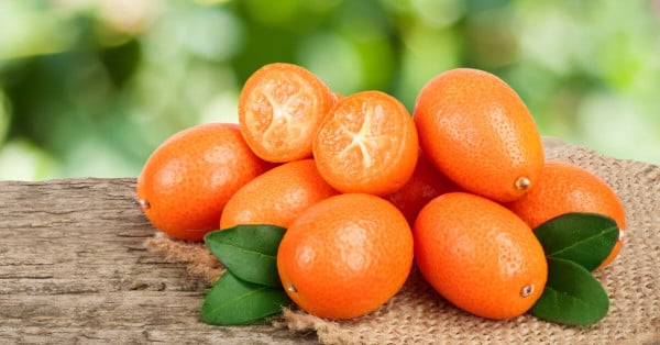 البرتقال الملكي.. صيدلية بحجم صغير