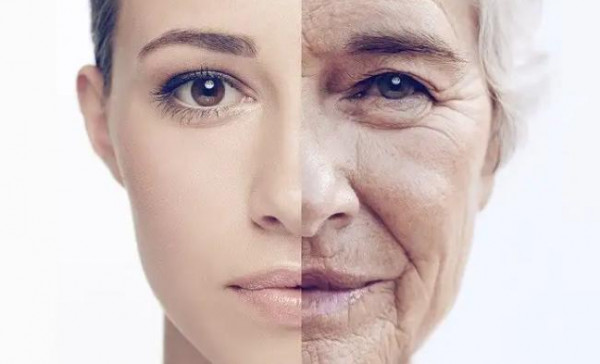 ما هي أهم الطرق لمحاربة الشيخوخة والعيش لمدة أطول؟