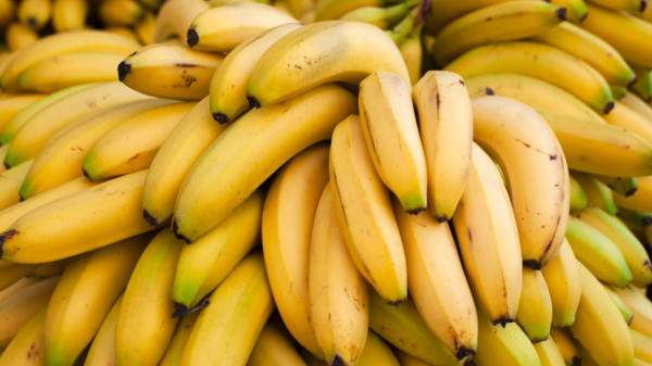 خبراء: الموز هو الفاكهة الأكثر إشعاعاً
