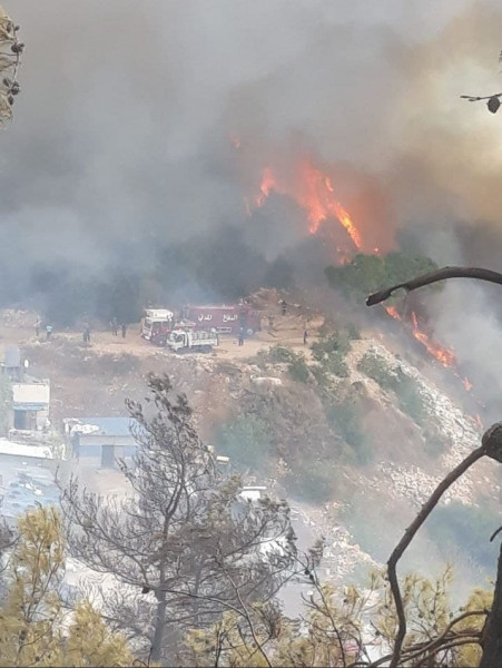 حريق كبير في جبل لبنان والدفاع المدني يعلق "الحريق تحت السيطرة"