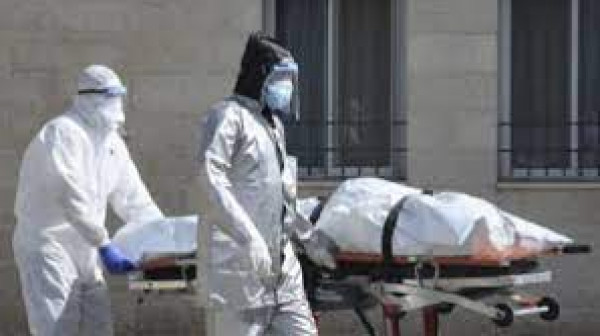 مصر تسجل 49 حالة وفاة و933 إصابة جديدة بـ (كورونا)