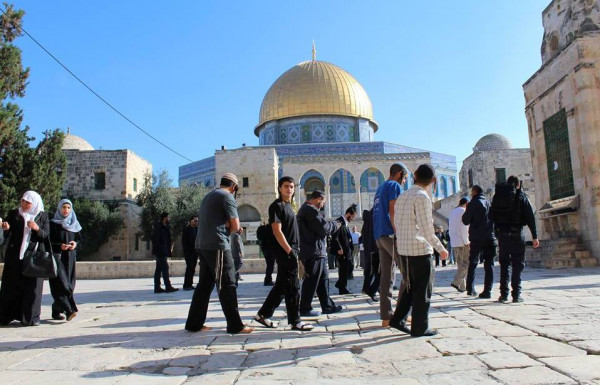 مستوطنون يقتحمون المسجد الأقصى بحماية قوات الاحتلال