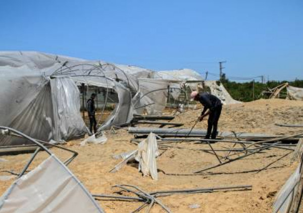 البسيوني: 55 مليون دولار قيمة الخسائر الزراعية جراء العدوان الأخير على غزة