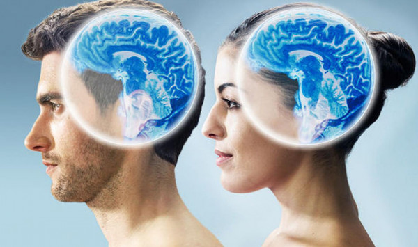 ما الفرق بين دماغ الرجل و المرأة؟