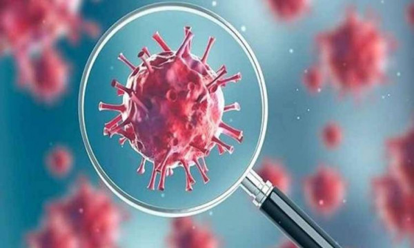 دراسة حديثة: الهرمونات الأنثوية تنقذ حياة النساء من فيروس (كورونا)