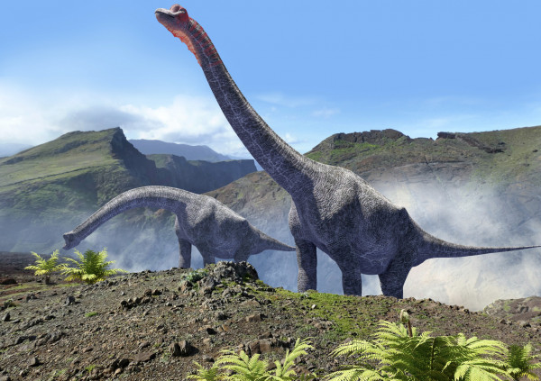 شاهد: العلماء يعثرون على ديناصور نفق يوم سقوط الكويكب