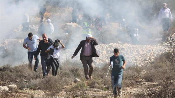 عشرات الإصابات بمواجهات مع الاحتلال في الضفة الغربية