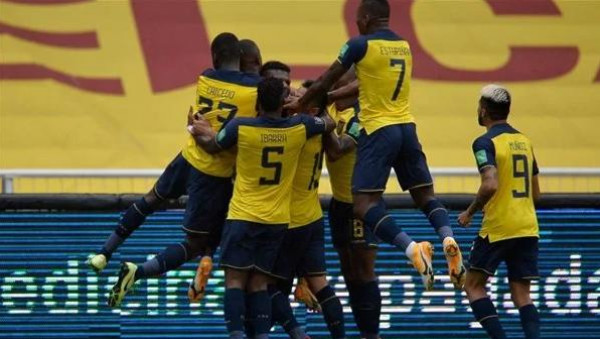 من المستفيد من استبعاد منتخب الإكوادور من كأس العالم؟