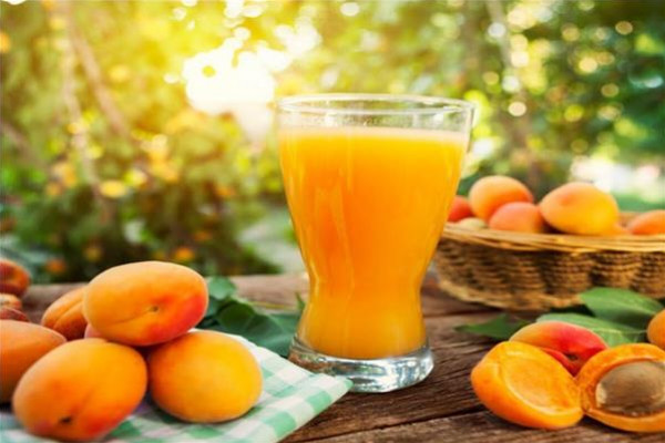 طريقة تحضير عصير المشمش بالبرتقال