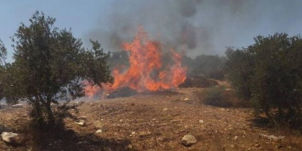 مستوطنون يضرمون النار في أراضي حوسان غرب بيت لحم