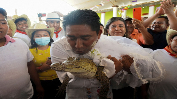 بالفيديو: عمدة مدينة مكسيكية يتزوّج من تمساح يرتدي بدلة بيضاء