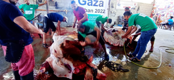 الجالية الفلسطينية في بريمن توزع لحوم الأضاحي على الأهل في قطاع غزة