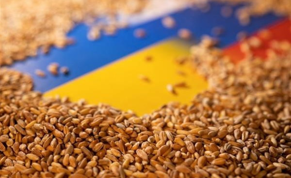 أوكرانيا: صادراتنا من الحبوب تصل 3.5 مليون طن شهرياً قريباً