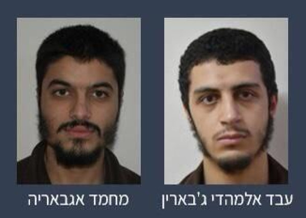 الإعلام الإسرائيلي: الشاباك يعتقل اثنين من أم الفحم بتهمة تنفيذ هجوم لصالح تنظيم الدولة