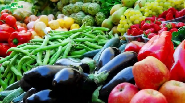 أسعار الخضروات واللحوم في أسواق غزة السبت
