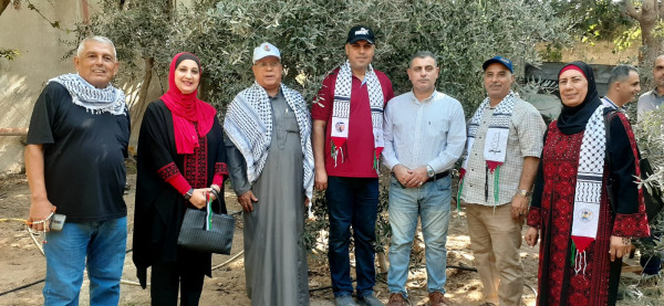 التجمع الفلسطيني للوطن والشتات يساعد المزارعين بقطف الزيتون شمال غزة
