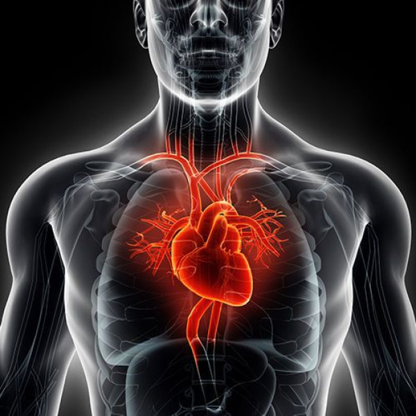 قصور القلب.. الأسباب والأعراض وأهمية الفحوصات