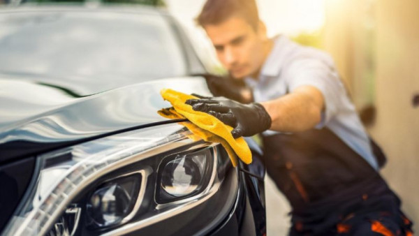كيف تحافظ على سيارتك من تواجد الفئران بها؟