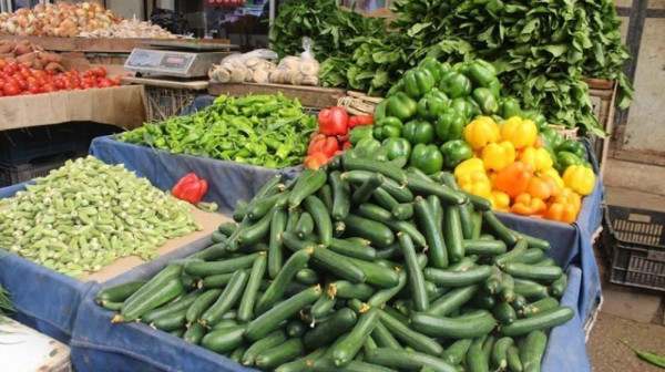 أسعار الخضروات واللحوم في أسواق غزة اليوم السبت