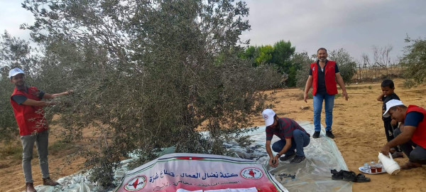 كتلة نضال العمال بقطاع غزة تعلن انطلاق حملتها الوطنية "عمالنا المزارعين .. نحن معكم"