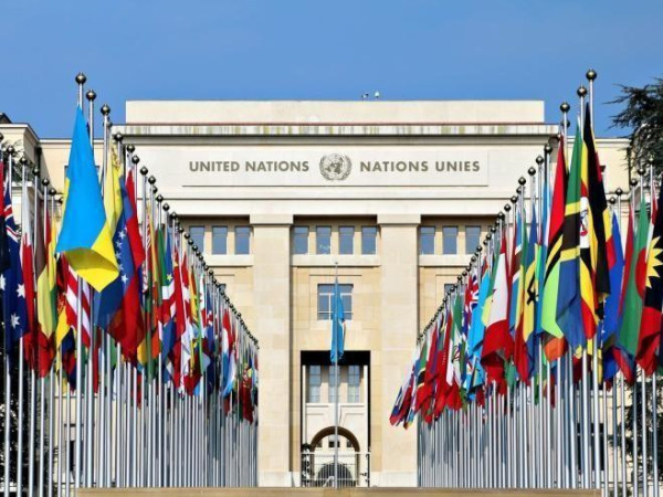 لجنة اللاجئين في المجلس الوطني ترحب بقرار الجمعية العامة للأمم المتحدة تمديد التفويض لـ(أونروا)