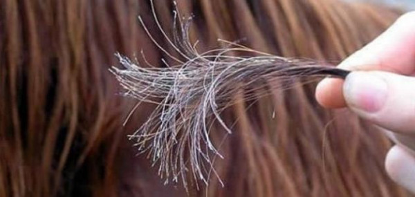 كيف تؤثر الرطوبة على شعرك وتدمره؟