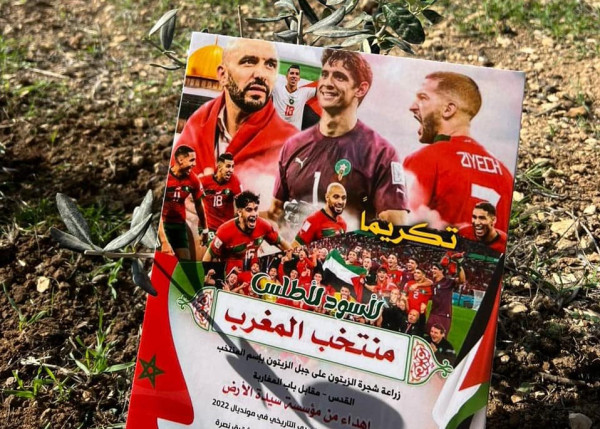 "سيدة الأرض" تغرس شجر الزيتون احتفاءً بالمنتخب الوطني المغربي وحارس عرينها ياسين بونو