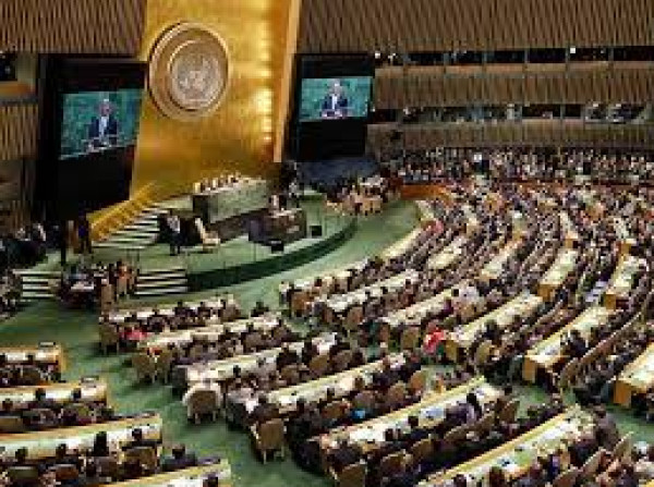 مطالبات للأمم المتحدة والدول الصناعية بحماية الأمن الغذائي لأفريقيا والشرق الأوسط