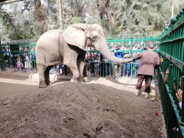 غلق حديقة حيوان لأول مرة لمدة عام في مصر