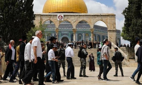 الأردن: اقتحامات المتطرفين للمسجد الأقصى تُنذر بالمزيد من التصعيد